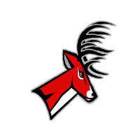 YANKTON HIGH SCHOOL - HOMECOMING