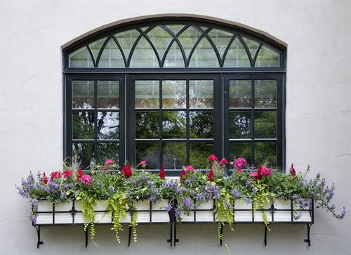 Imagine this lovely windowbox outside your kitchen window!
