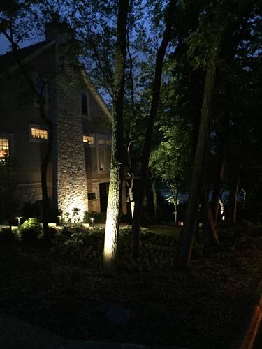 Landscape lighting lets you enjoy the beauty of your yard into the evening.