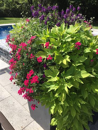 Get the lusciousness of this summer urn by having Bruss do it for you!