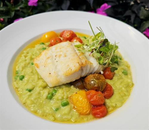Gallery Image Halibut_Sweet_Pea_Risotto.jpg