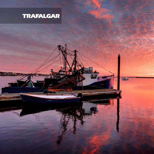 Trafalgar North American Tours, Cape Cod/Provincetown Trafalgar North American Tours, Cape Cod/Provincetown