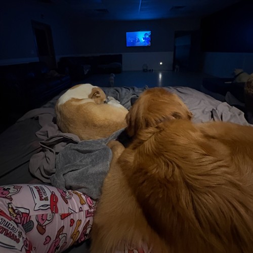 Doggie Snuggles