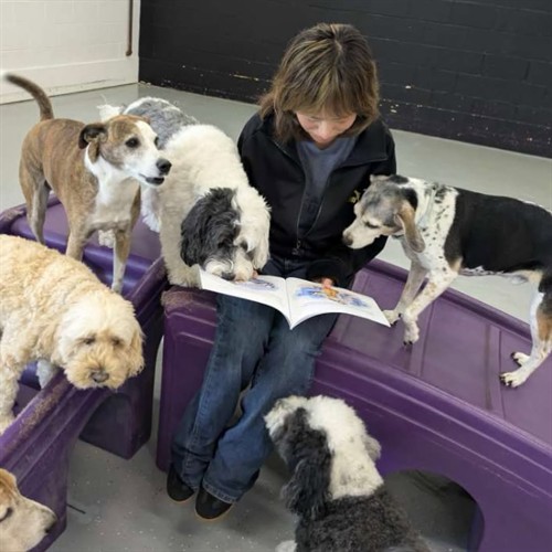 Story Time Sundays
