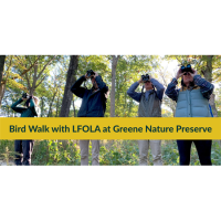 Bird Walk with LFOLA at Greene Nature Preserve