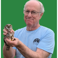 Birds, Butterflies & Blooms! The Wonder of Nature in Your Own Backyard