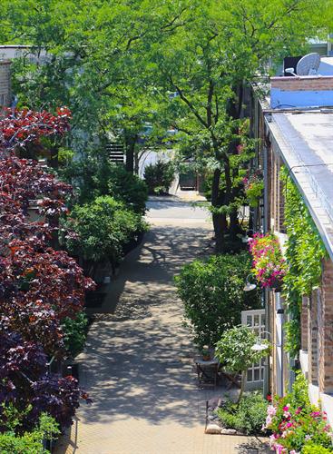 Beauty around the Square