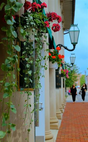 Beauty around the Square