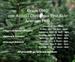 Christmas Tree Sales @ Artesian Park