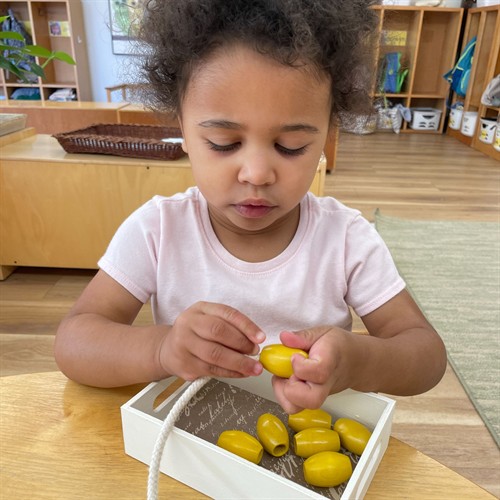 Toddler classroom (age 15m - 3y)