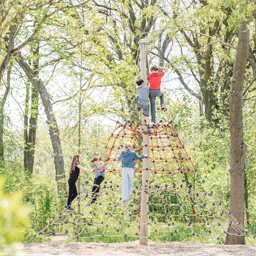 Classroom playgrounds