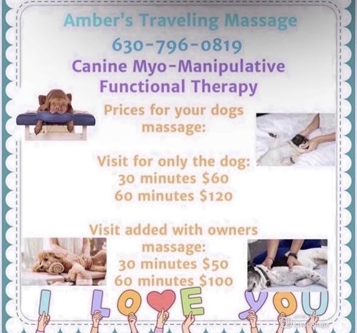 Canine Myo-Manipulative Functional Therapy