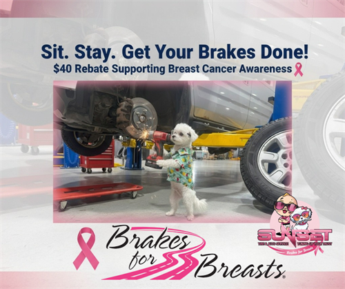 Gallery Image brakes_for_breast_brake_repair.png