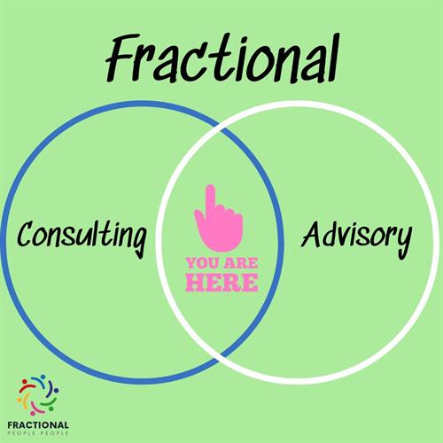 Fractional - Blend of Consulting & Advisory