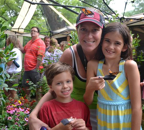 Butterfly Festival and Butterfly Encounter are a summer tradition!