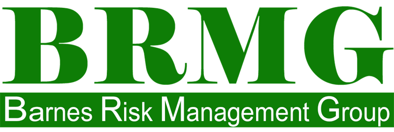 Barnes Risk Management Group Brmg Insurance Corporate