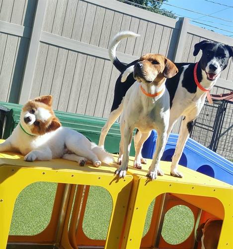 Group Play fun Group Play fun