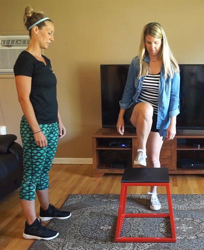 In-home Training In-home Training