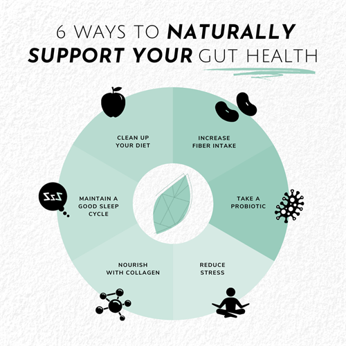 Gut Health Matters