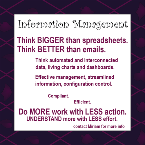Information management is bigger than excel, and better than document folders. Let me show you how.