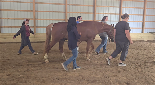 Gallery Image IT_Team_Stacy_Leading_Shared_Leadership.png