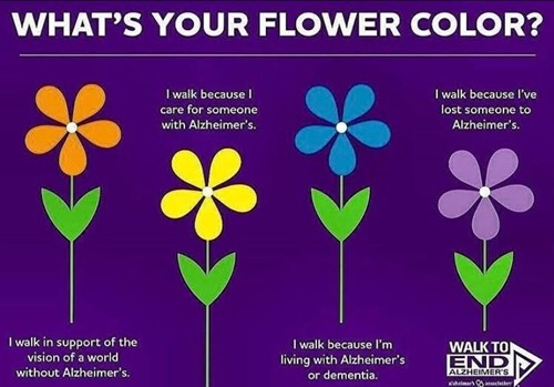 Gallery Image Flower_color.jpg