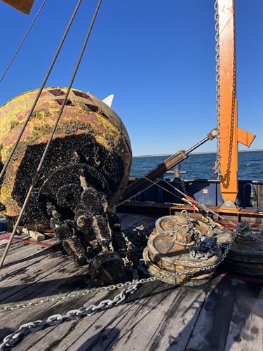 Gallery Image IMG_0909.jpg