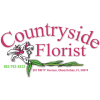 Countryside Antique Sale