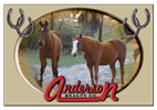 Anderson Realty Co.