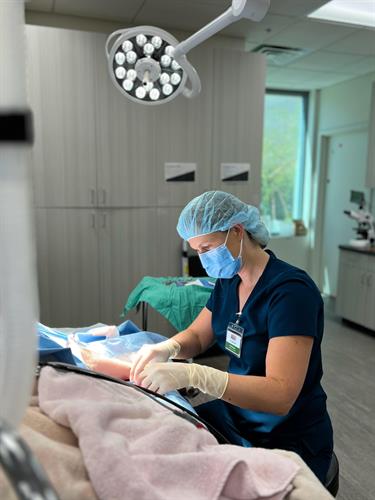 Gallery Image Dr._Goldstein_performing_surgery_at_Vet_Urgent_Care_of_the_Desert_Palm_Desert_(1).jpg