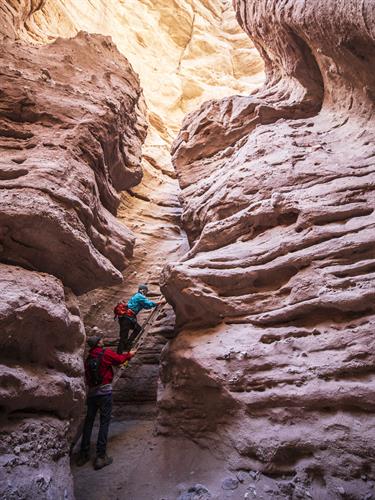 Celebrating Chuckwalla National Monument Designation in Ladder Canyon