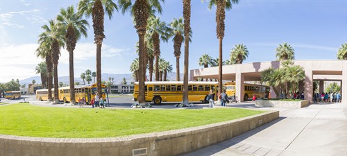 Field Trip Series School Buses