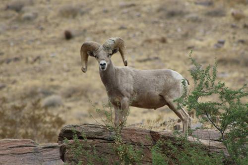 Gallery Image 2H2A5090-Justin_Polizzi.JPG