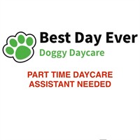 Best Day Ever Doggy Daycare LLC