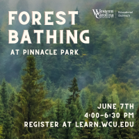 Forest Bathing Experience with WCU