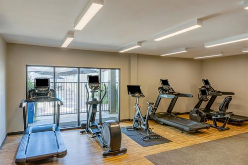 Fitness Center - Cardio equipment