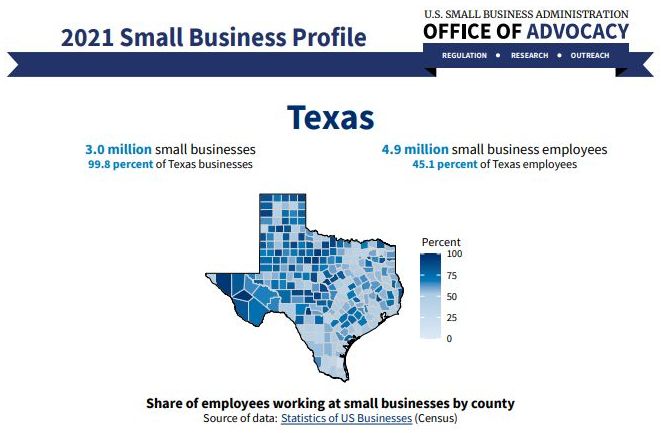 Image for 2021 Texas Small Business Profile