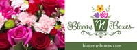 Blooms 'n Boxes - Streamwood