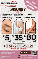 Art of Brows Beauty Salon - Bartlett