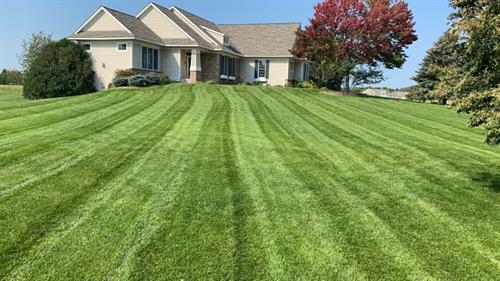 Lawn Mowing Lawn Mowing