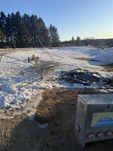 Gallery Image IMG_9394.jpeg