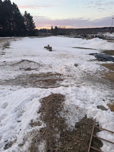 Gallery Image IMG_9396.jpeg