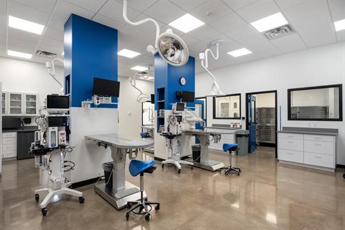 Procedure/Surgery area Procedure/Surgery area
