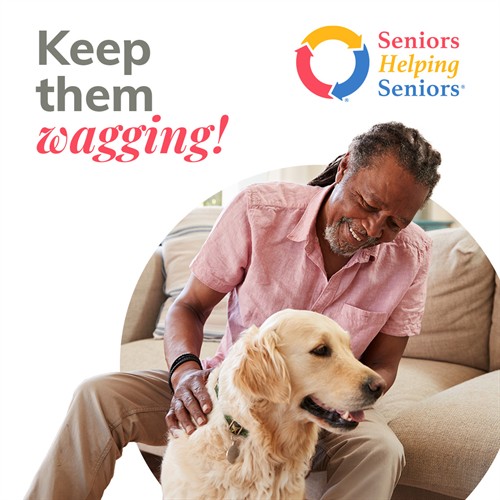 We love to help with pets