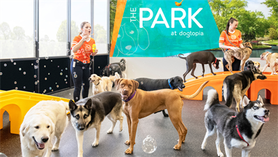 Dogtopia of Woodbury