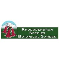 Hellebore enthusiasts, meet Botanica Nursery!