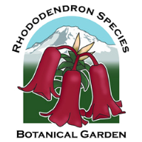 Rhododendron Species Botanical Garden - Federal Way