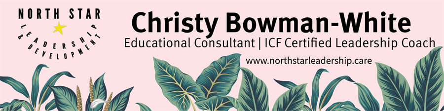North Star Leadership and Development LLC