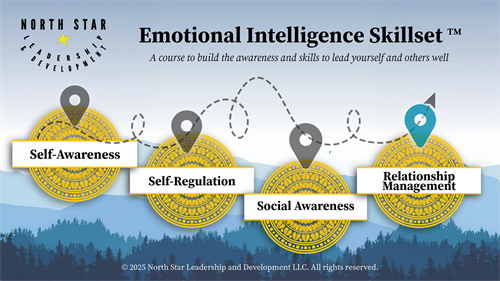 The Emotional Intelligence Skillset™ Course: https://www.northstarleadership.care/ei-skillset