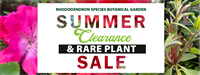 Summer Clearance & Rare Plant Sale